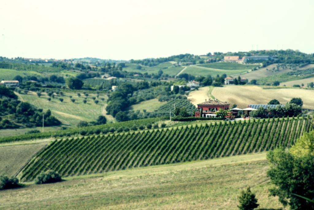 Vila Tenuta Santini Coriano Exteriér fotografie